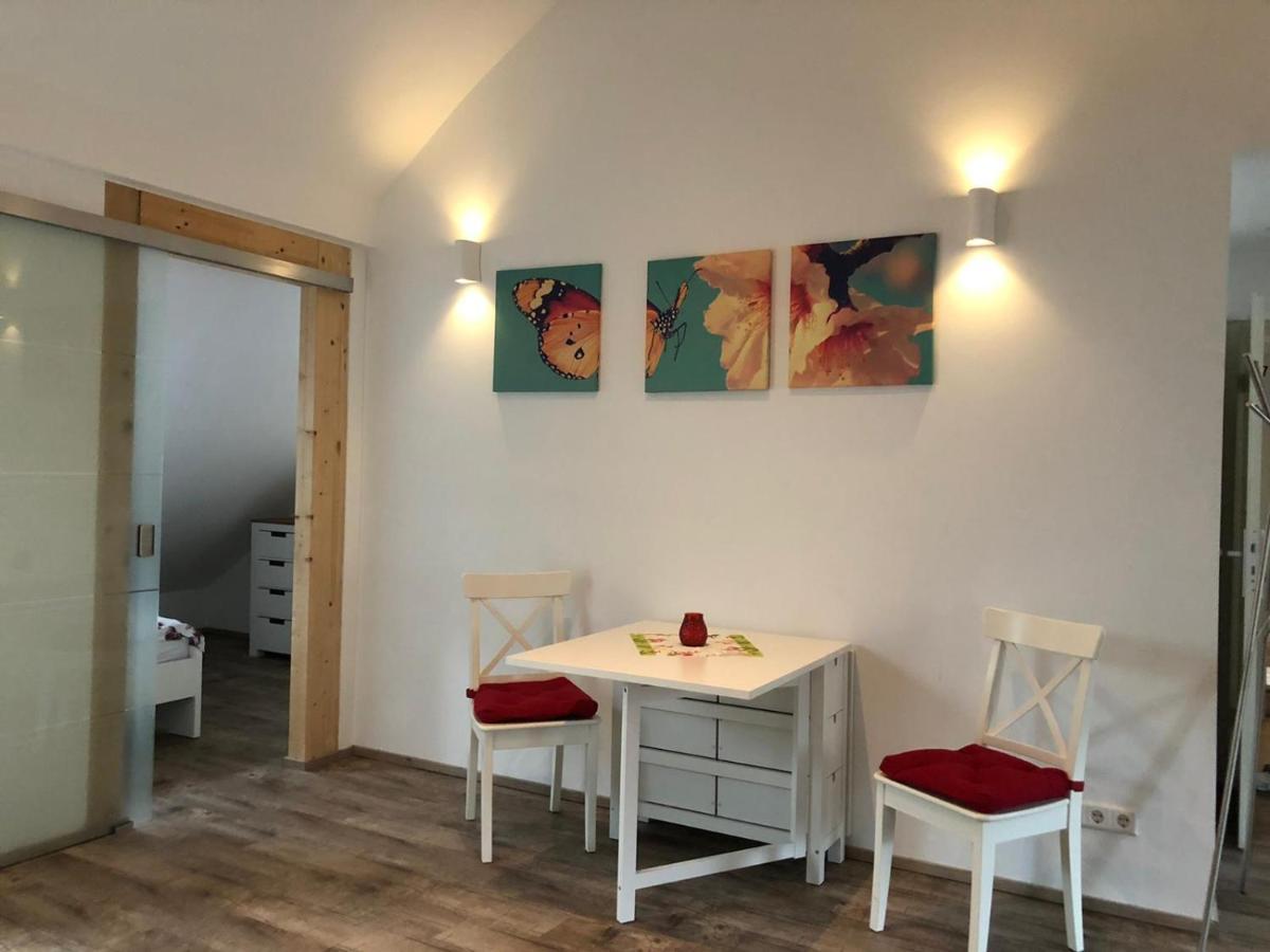 Old Bridge View Apartment Heidelberg Esterno foto
