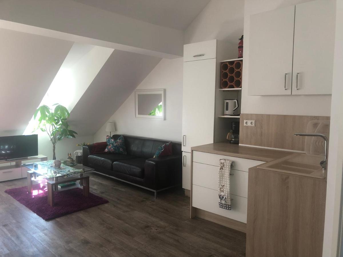 Old Bridge View Apartment Heidelberg Esterno foto