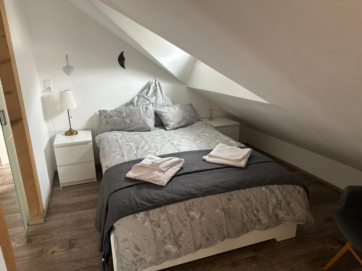 Old Bridge View Apartment Heidelberg Esterno foto